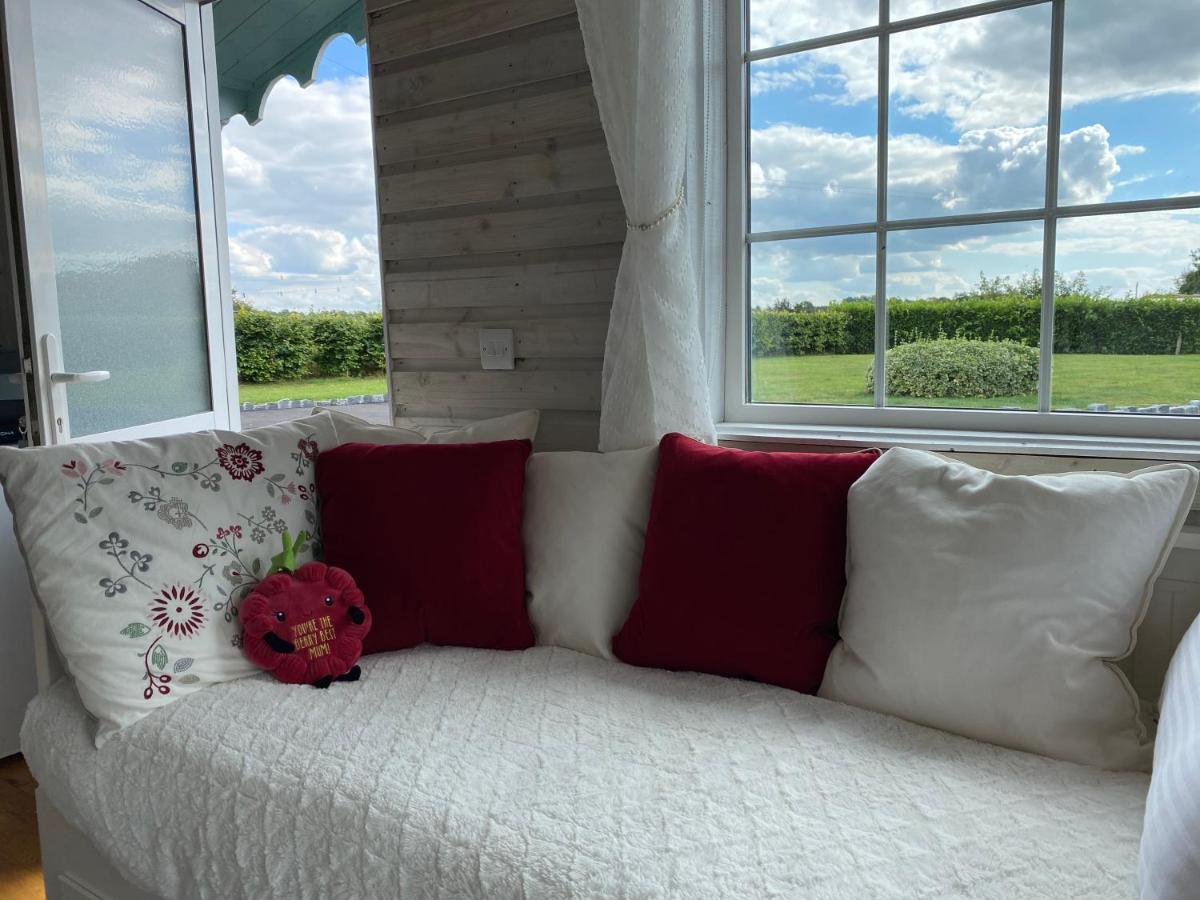 Adorable Cabin In The Countryside بورتلاويس المظهر الخارجي الصورة